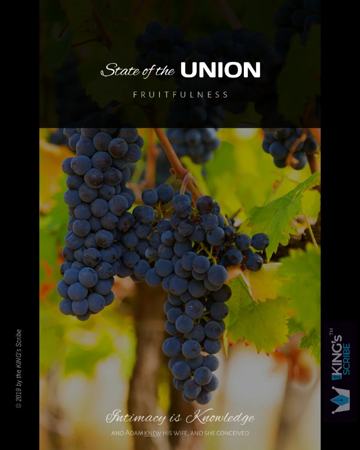 The design may be viewed in three parts. The top reads, “State of the UNION. Fruitfulness.” The middle is a photo of luscious grapes of the vine. The bottom reads, “Intimacy is Knowledge. Adam knew his wife and she conceived.”